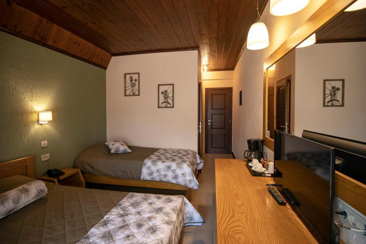 Asimina Guesthouse, Eptalofos Parnassos Kültér fotó