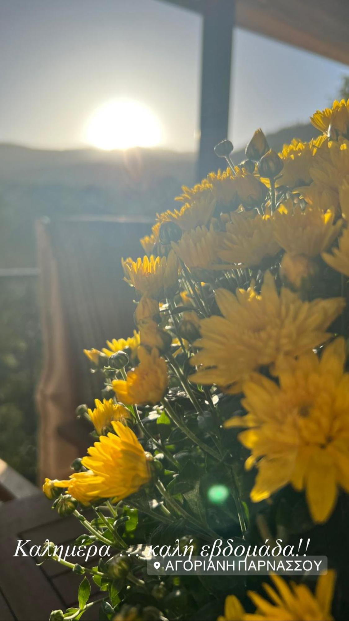 Asimina Guesthouse, Eptalofos Parnassos Kültér fotó