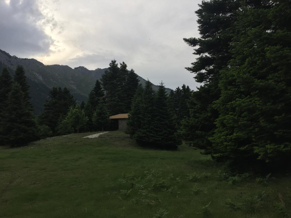 Asimina Guesthouse, Eptalofos Parnassos Kültér fotó
