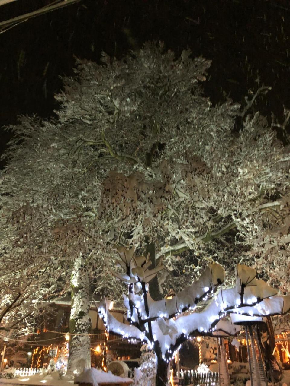 Asimina Guesthouse, Eptalofos Parnassos Kültér fotó