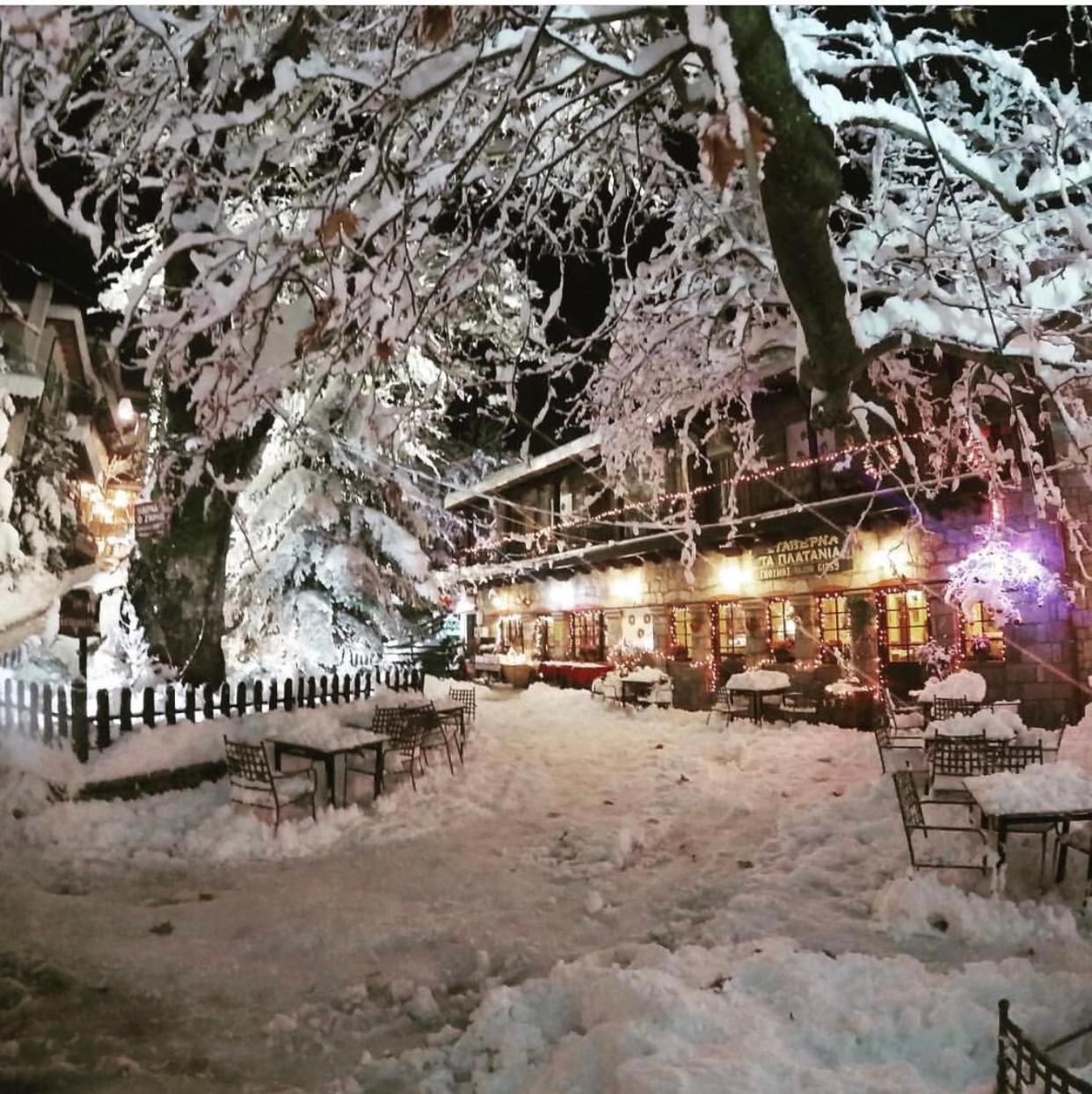 Asimina Guesthouse, Eptalofos Parnassos Kültér fotó